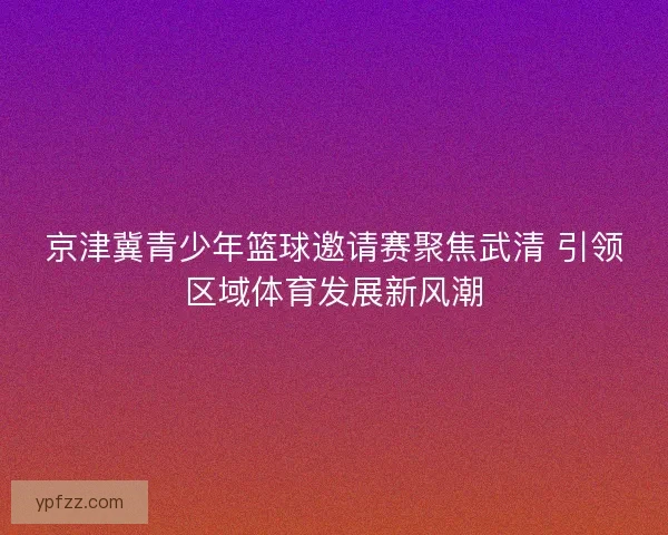 京津冀青少年篮球邀请赛聚焦武清 引领区域体育发展新风潮